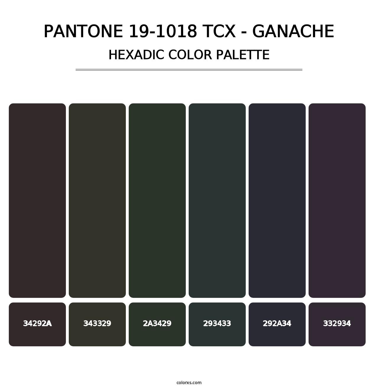 PANTONE 19-1018 TCX - Ganache - Hexadic Color Palette