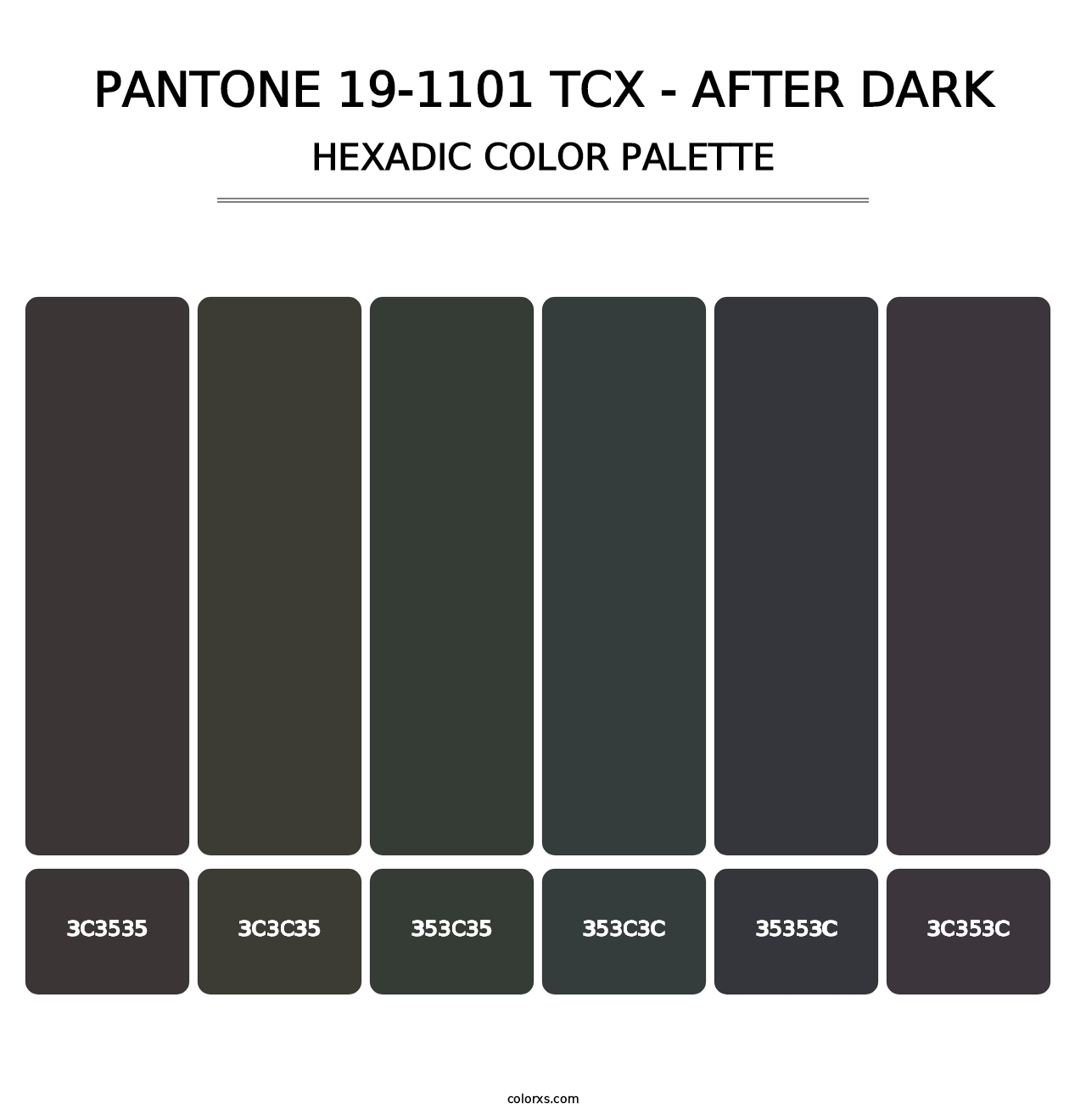 PANTONE 19-1101 TCX - After Dark - Hexadic Color Palette