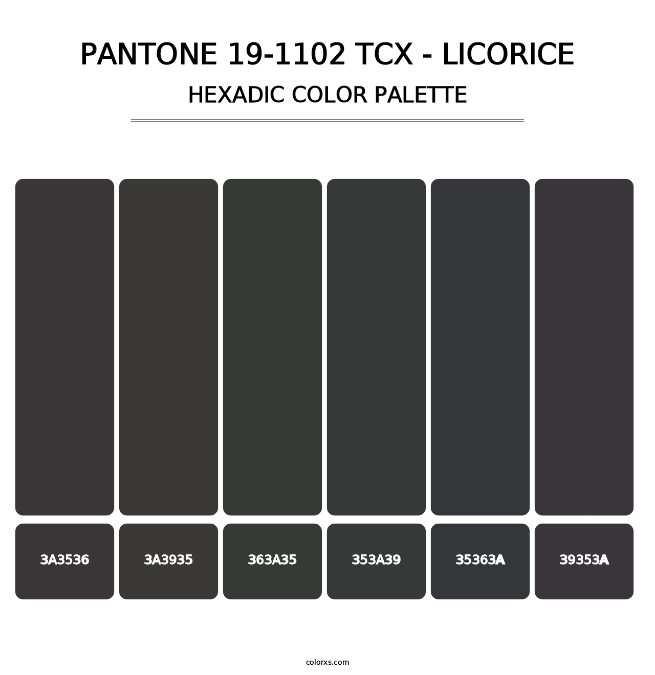 PANTONE 19-1102 TCX - Licorice - Hexadic Color Palette