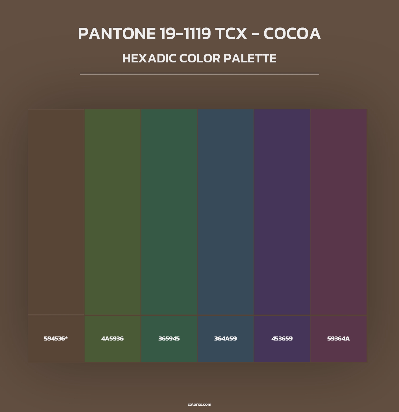PANTONE 19-1119 TCX - Cocoa - Hexadic Color Palette