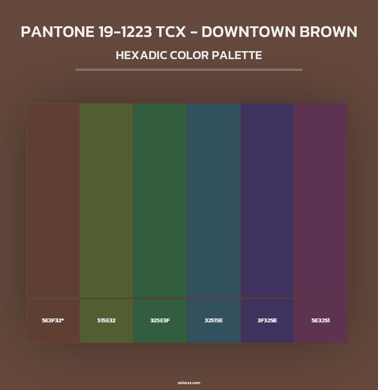 PANTONE 19-1223 TCX - Downtown Brown - Hexadic Color Palette