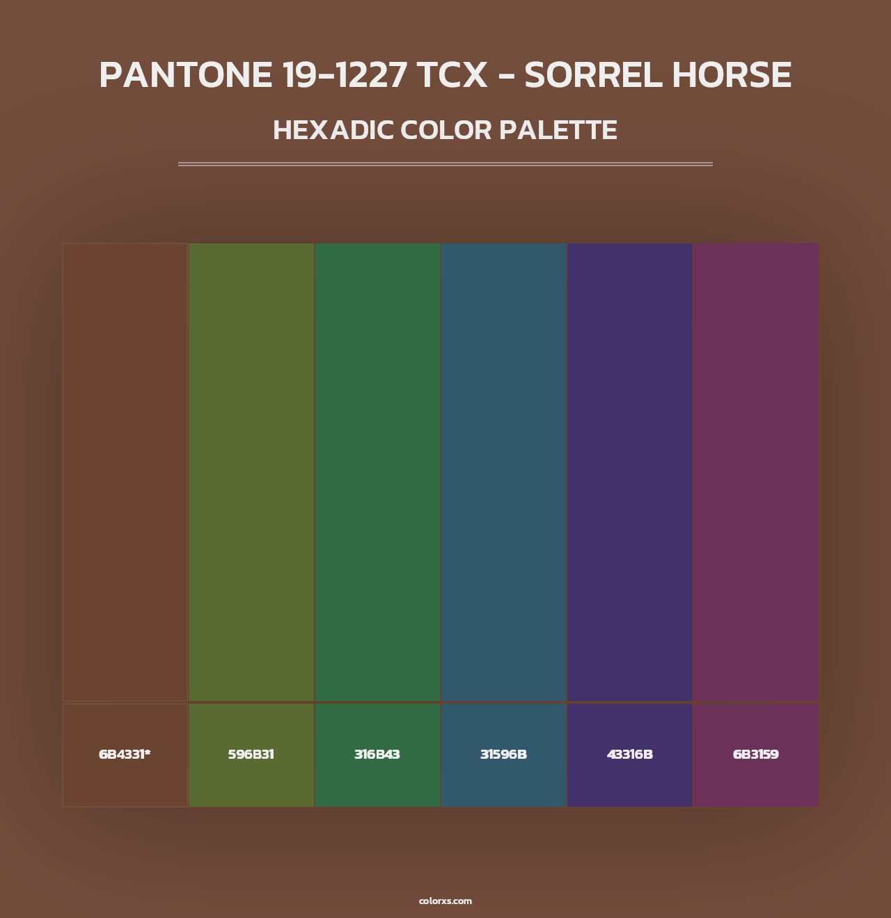 PANTONE 19-1227 TCX - Sorrel Horse - Hexadic Color Palette