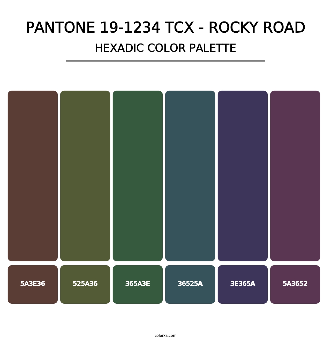 PANTONE 19-1234 TCX - Rocky Road - Hexadic Color Palette