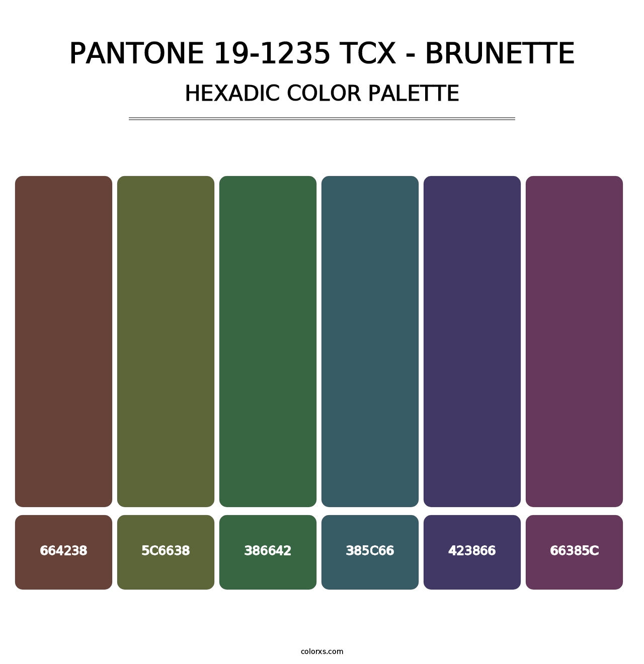 PANTONE 19-1235 TCX - Brunette - Hexadic Color Palette
