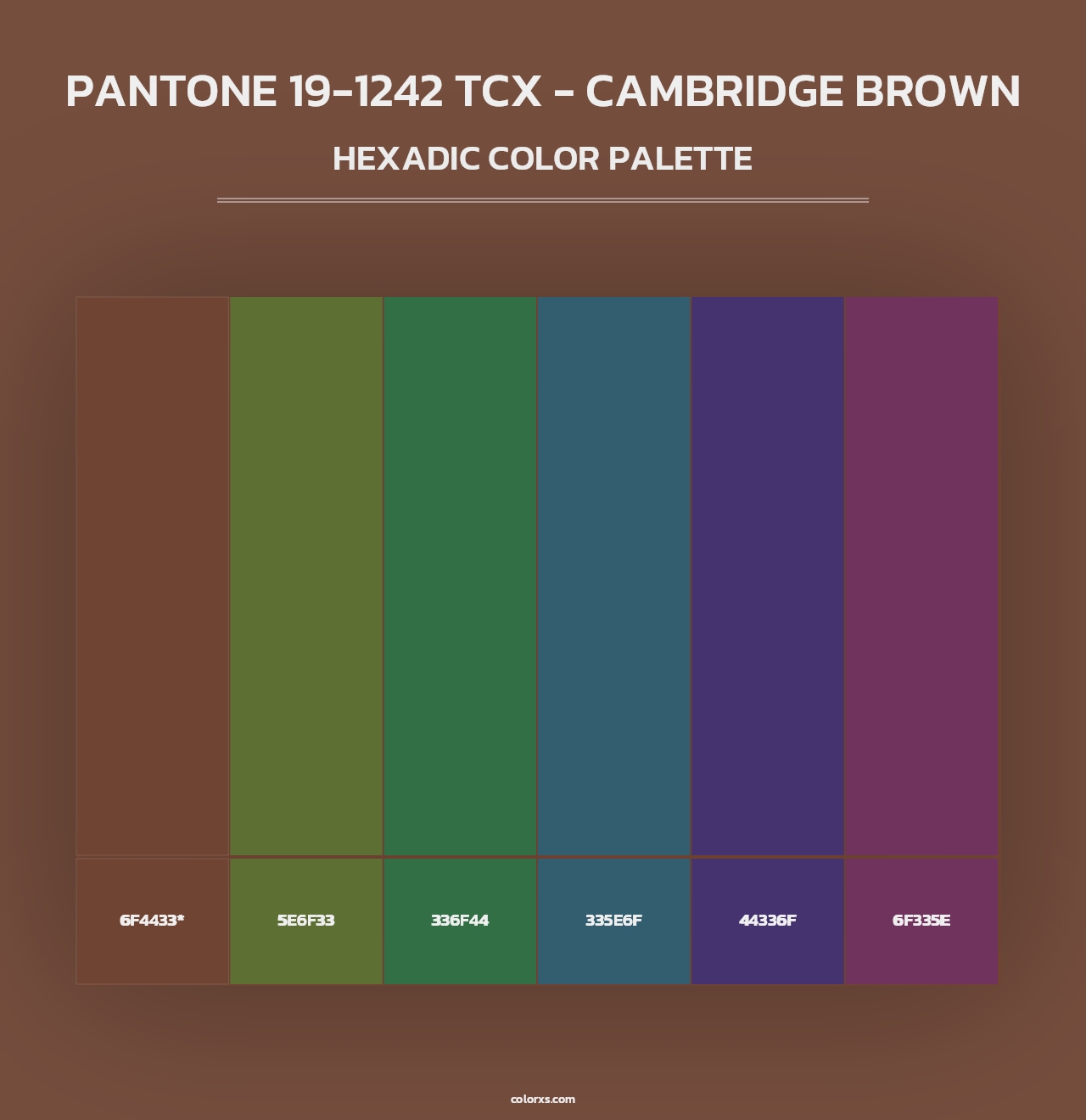 PANTONE 19-1242 TCX - Cambridge Brown - Hexadic Color Palette
