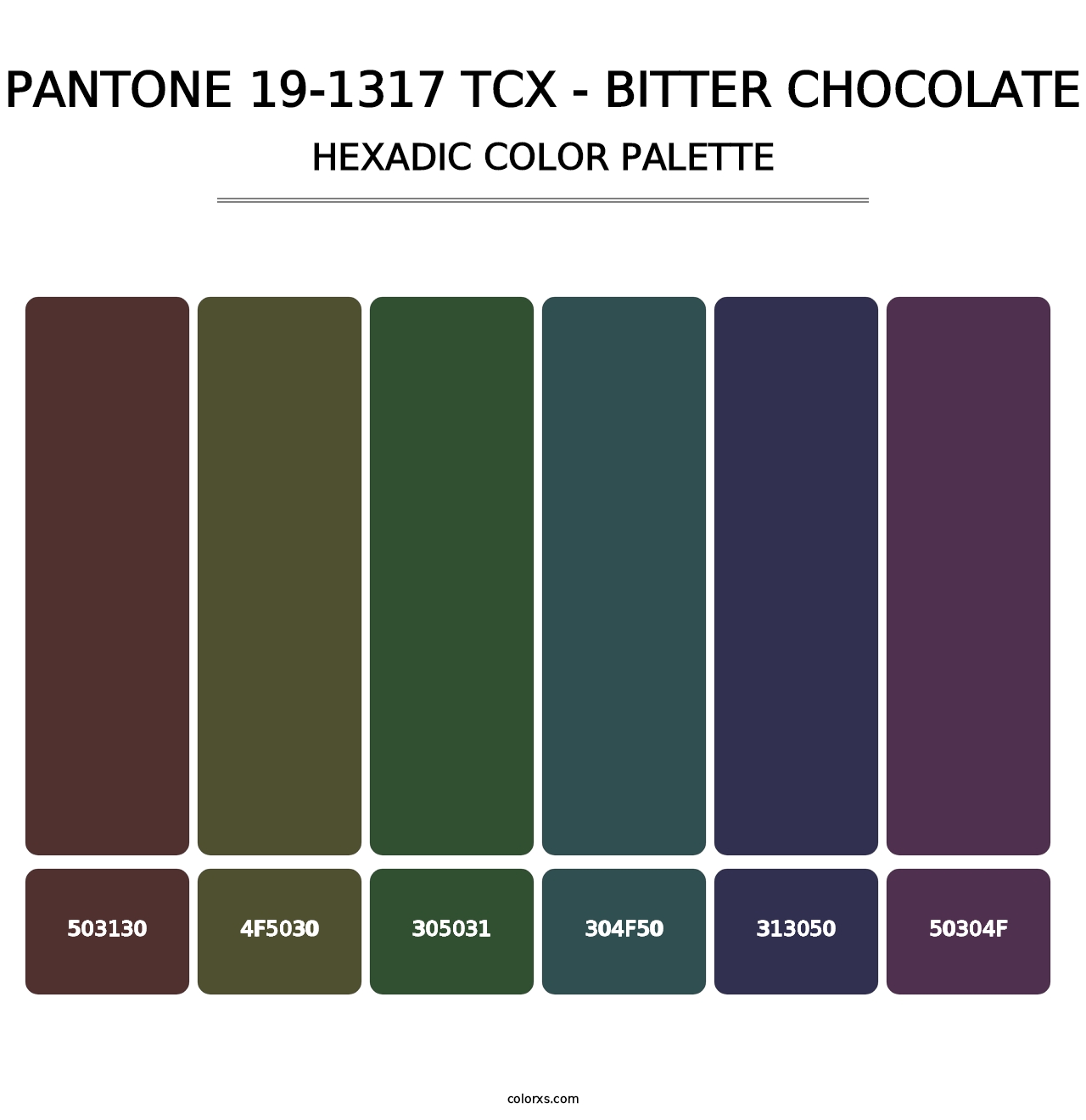 PANTONE 19-1317 TCX - Bitter Chocolate - Hexadic Color Palette