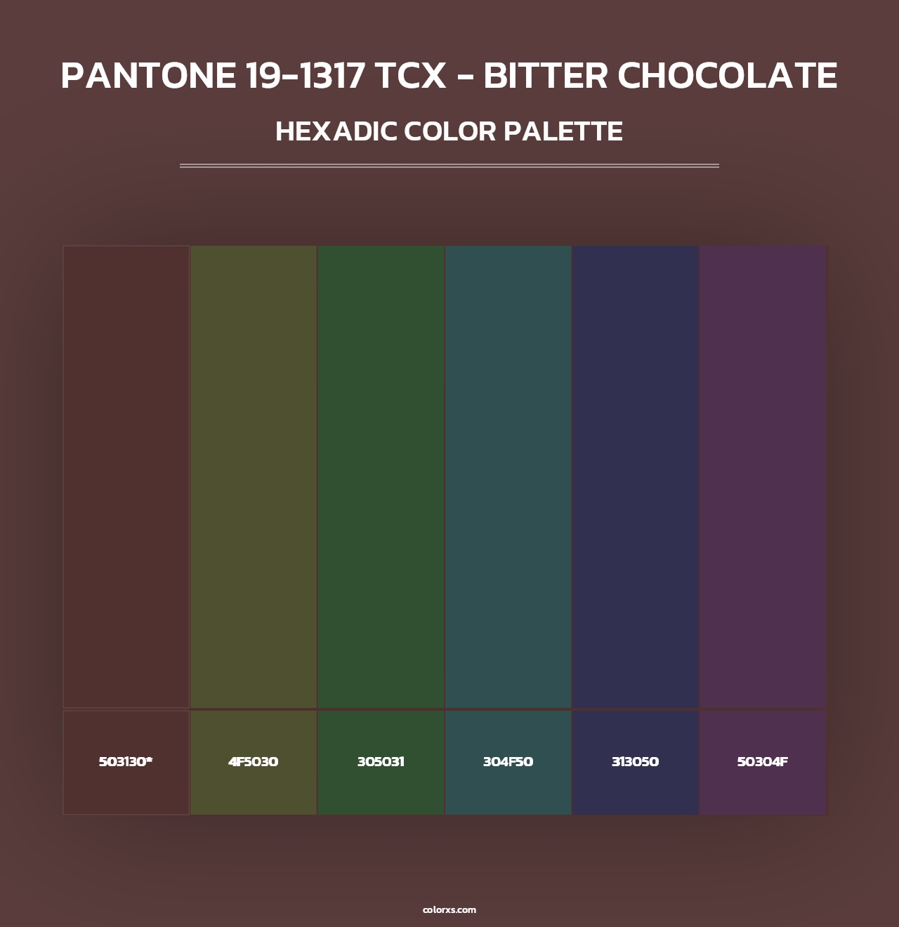 PANTONE 19-1317 TCX - Bitter Chocolate - Hexadic Color Palette