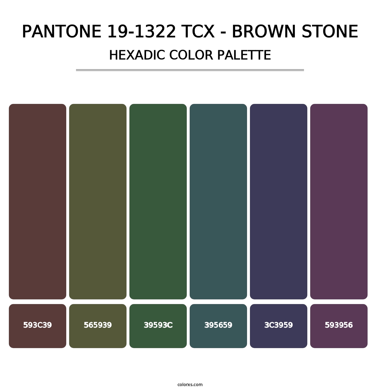 PANTONE 19-1322 TCX - Brown Stone - Hexadic Color Palette