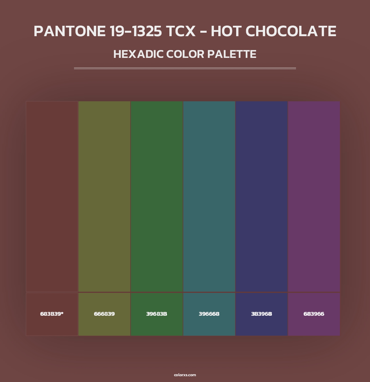 PANTONE 19-1325 TCX - Hot Chocolate - Hexadic Color Palette