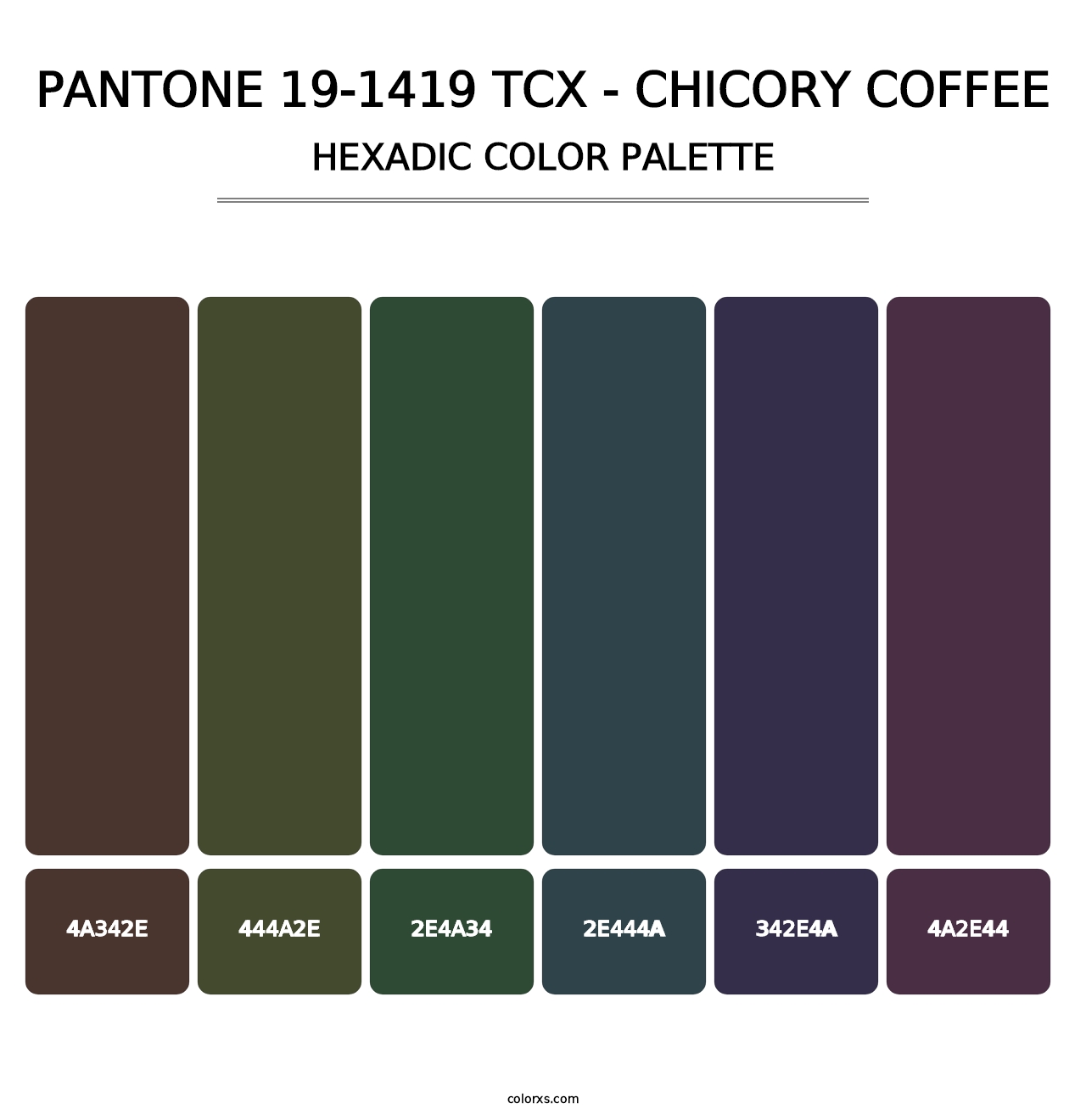 PANTONE 19-1419 TCX - Chicory Coffee - Hexadic Color Palette