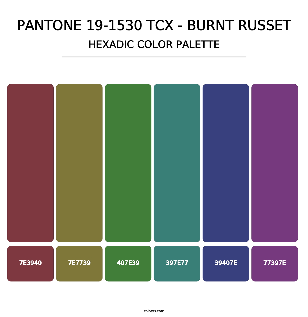 PANTONE 19-1530 TCX - Burnt Russet - Hexadic Color Palette