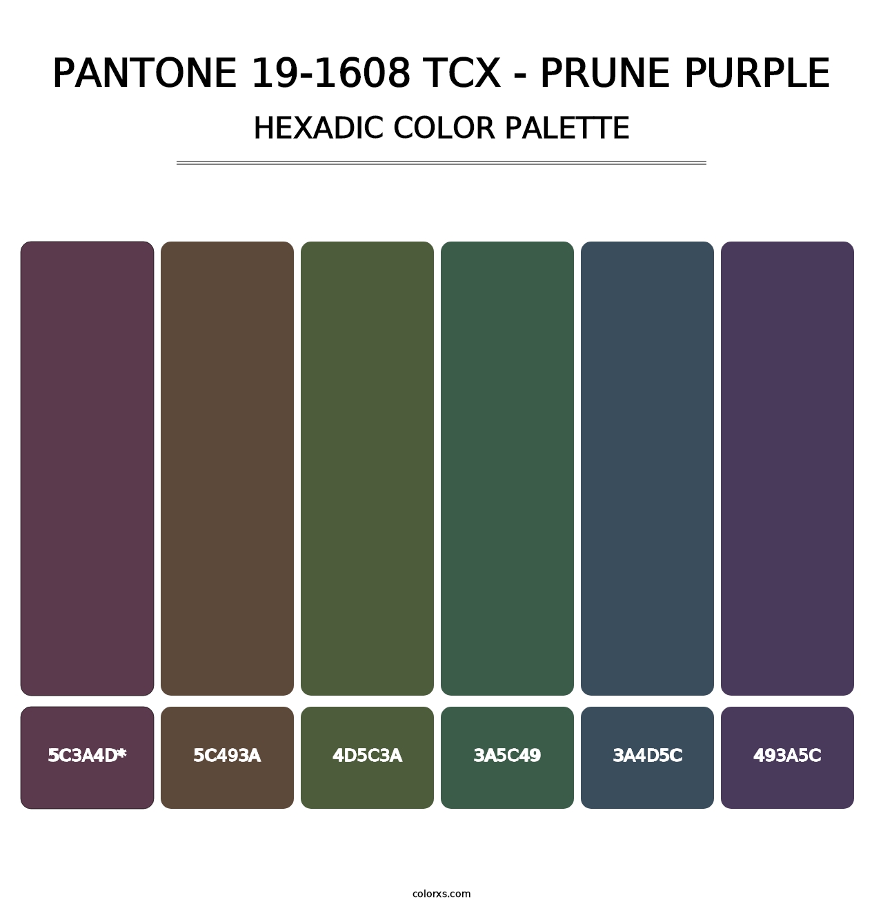 PANTONE 19-1608 TCX - Prune Purple - Hexadic Color Palette