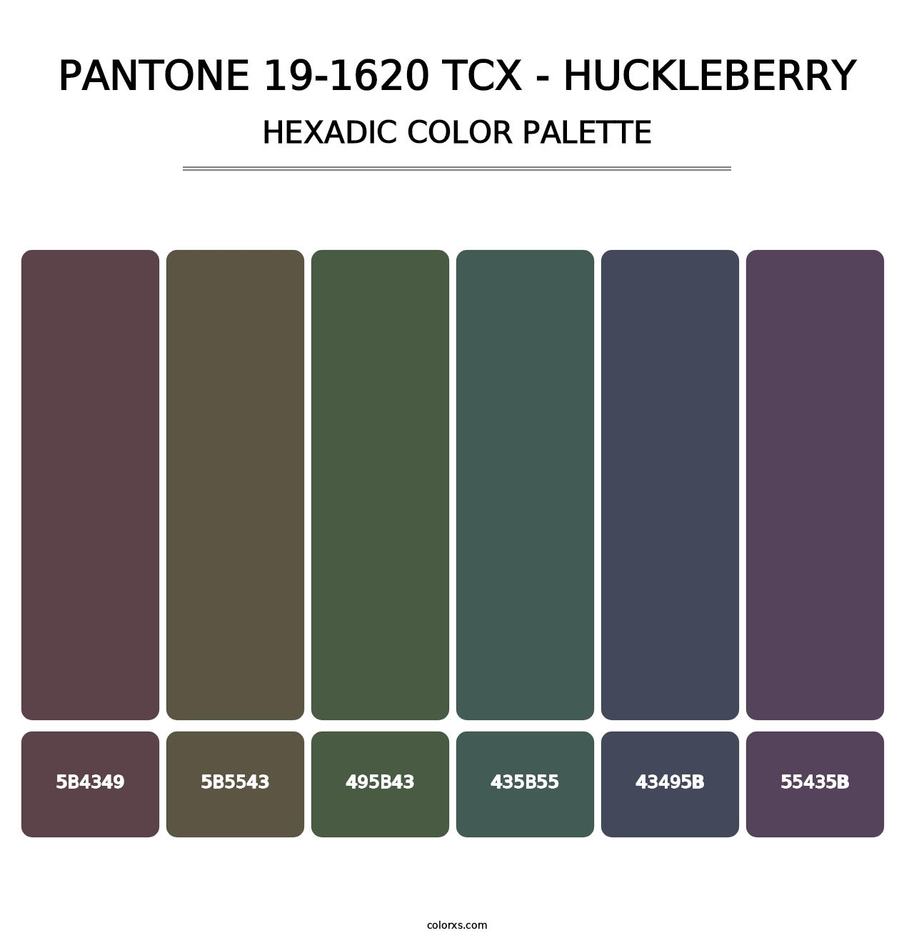 PANTONE 19-1620 TCX - Huckleberry - Hexadic Color Palette