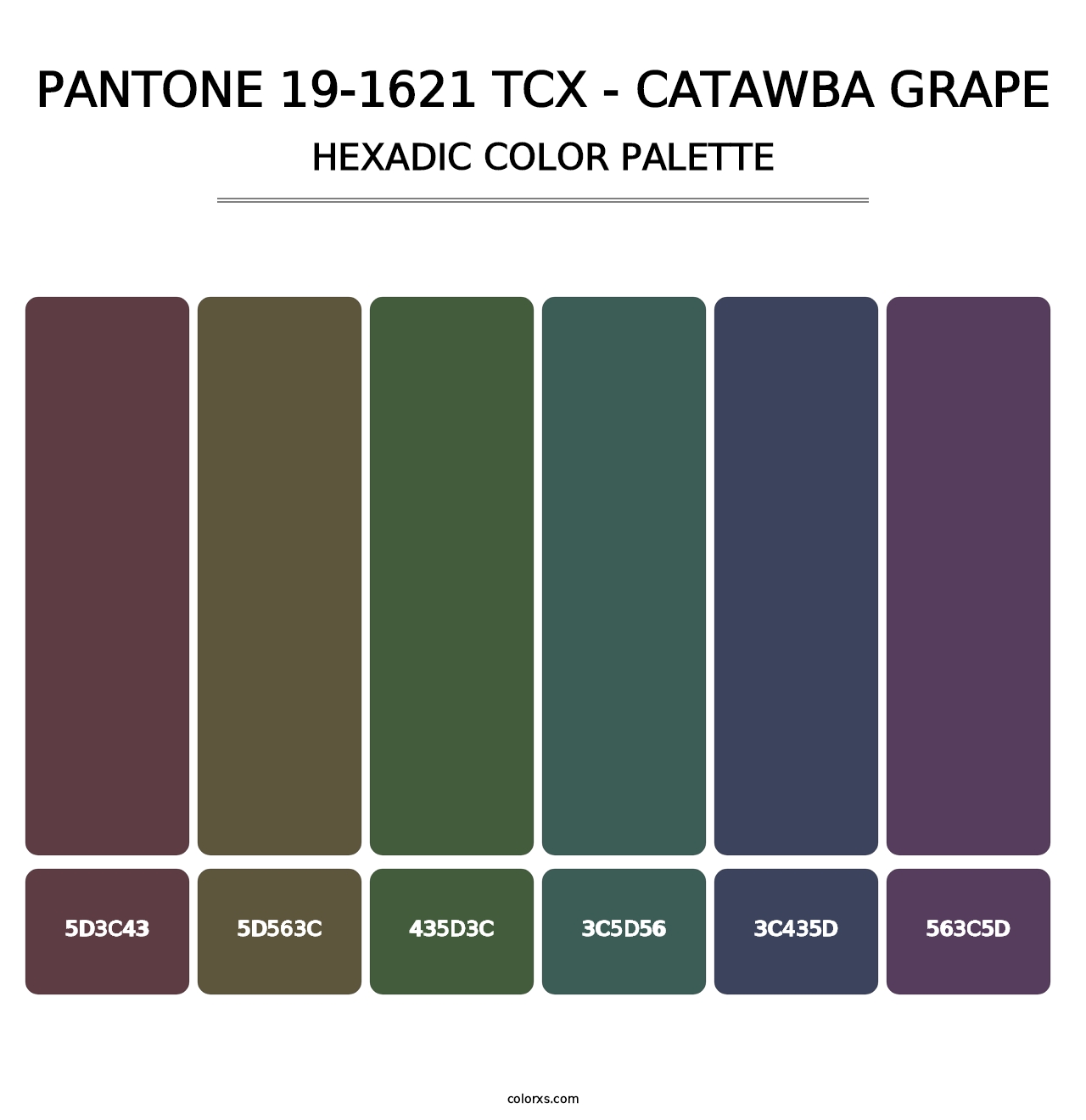 PANTONE 19-1621 TCX - Catawba Grape - Hexadic Color Palette