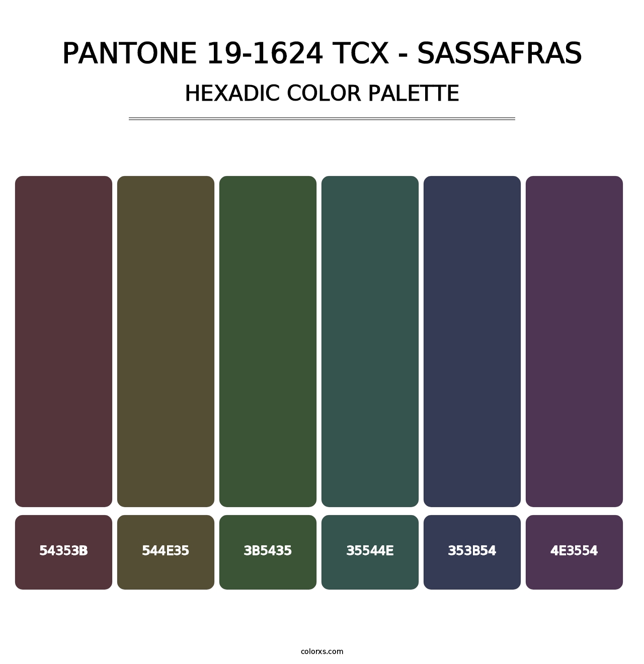 PANTONE 19-1624 TCX - Sassafras - Hexadic Color Palette
