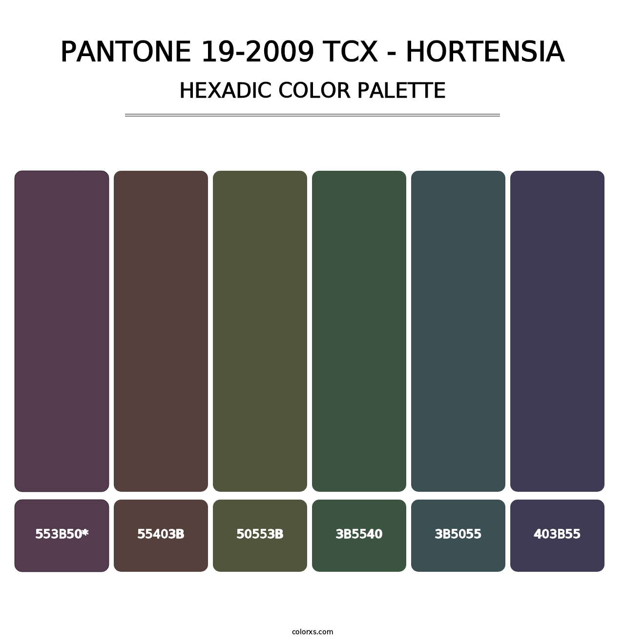 PANTONE 19-2009 TCX - Hortensia - Hexadic Color Palette