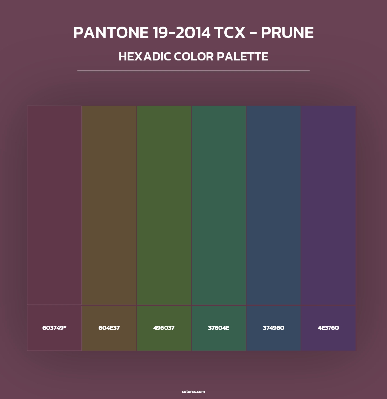 PANTONE 19-2014 TCX - Prune - Hexadic Color Palette