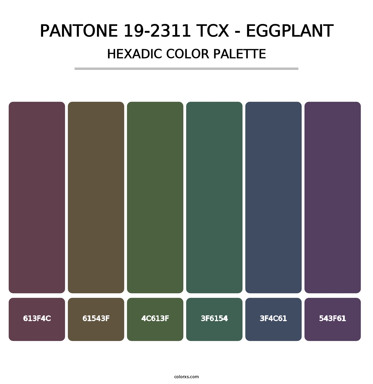 PANTONE 19-2311 TCX - Eggplant - Hexadic Color Palette