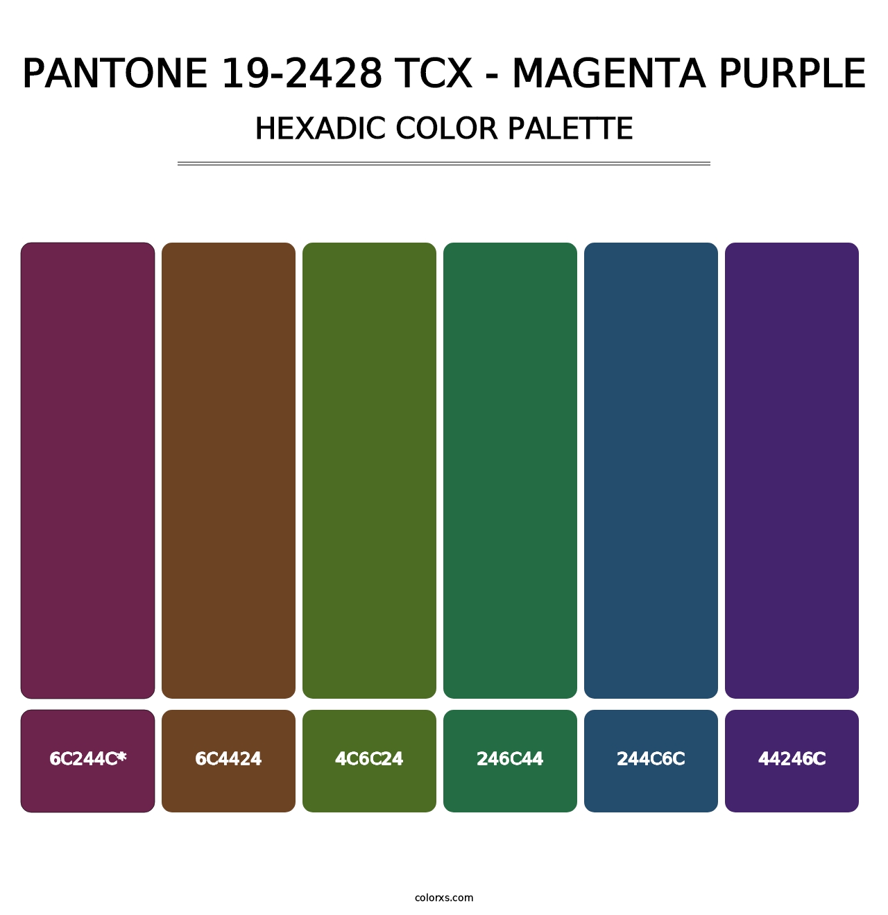 PANTONE 19-2428 TCX - Magenta Purple - Hexadic Color Palette