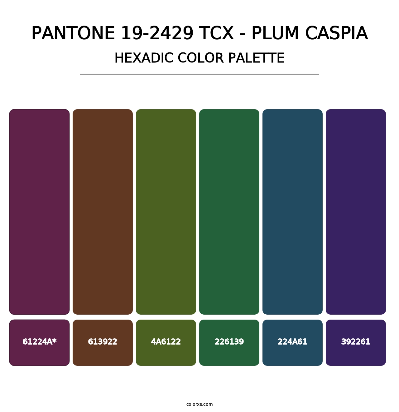 PANTONE 19-2429 TCX - Plum Caspia - Hexadic Color Palette