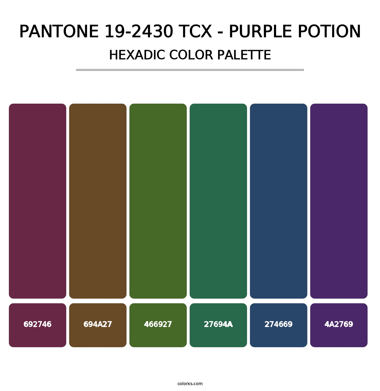 PANTONE 19-2430 TCX - Purple Potion - Hexadic Color Palette
