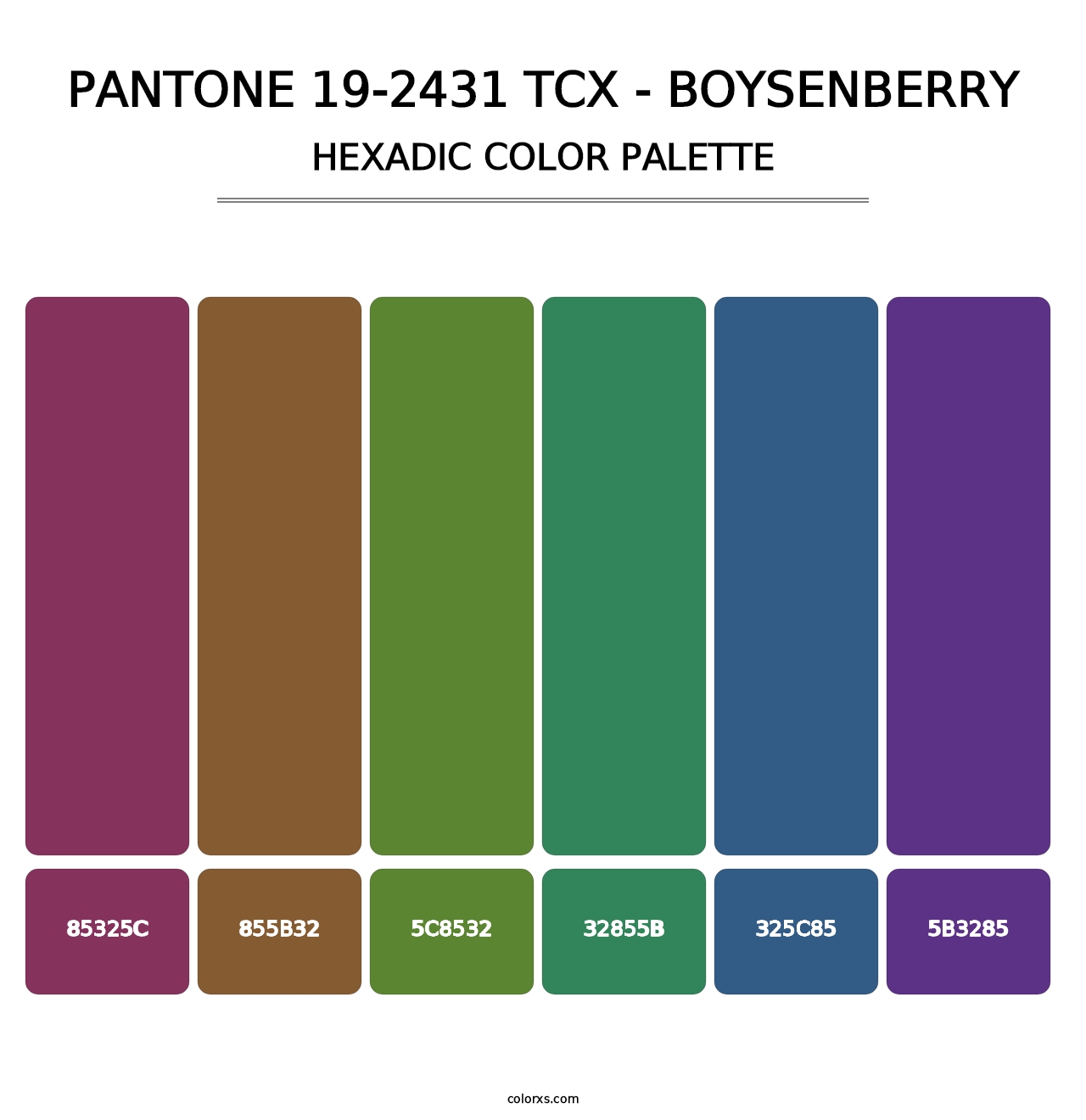 PANTONE 19-2431 TCX - Boysenberry - Hexadic Color Palette