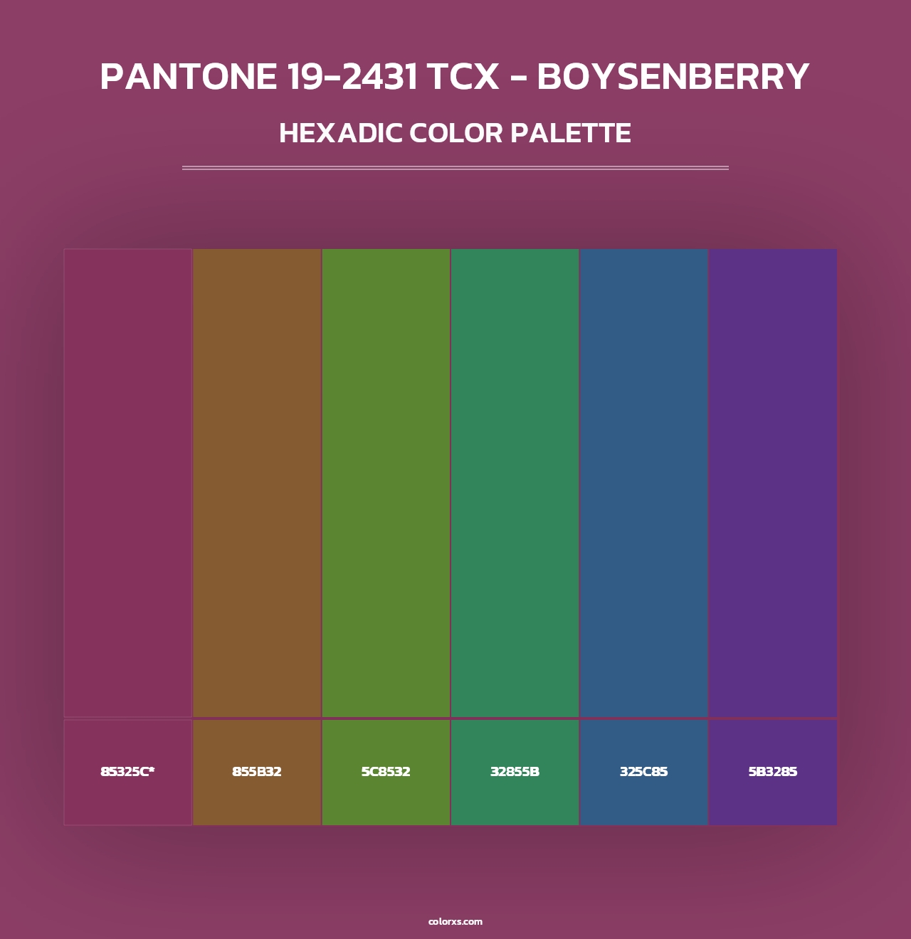 PANTONE 19-2431 TCX - Boysenberry - Hexadic Color Palette