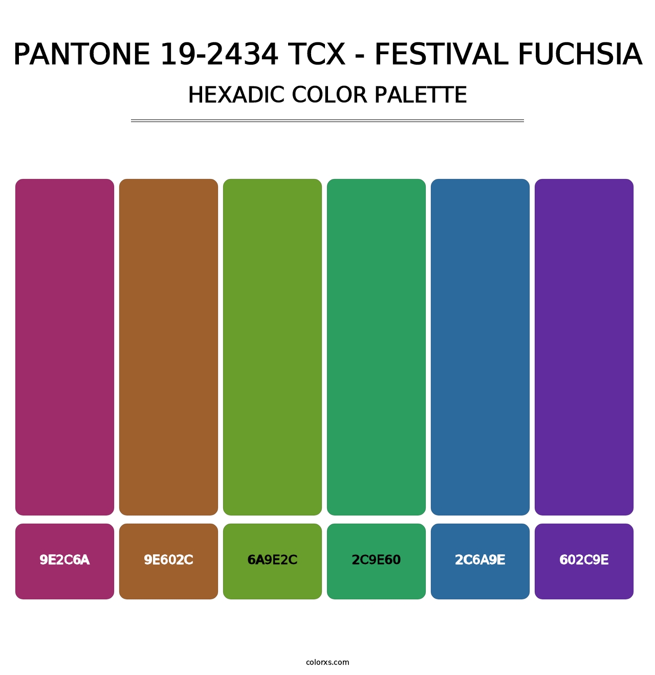 PANTONE 19-2434 TCX - Festival Fuchsia - Hexadic Color Palette