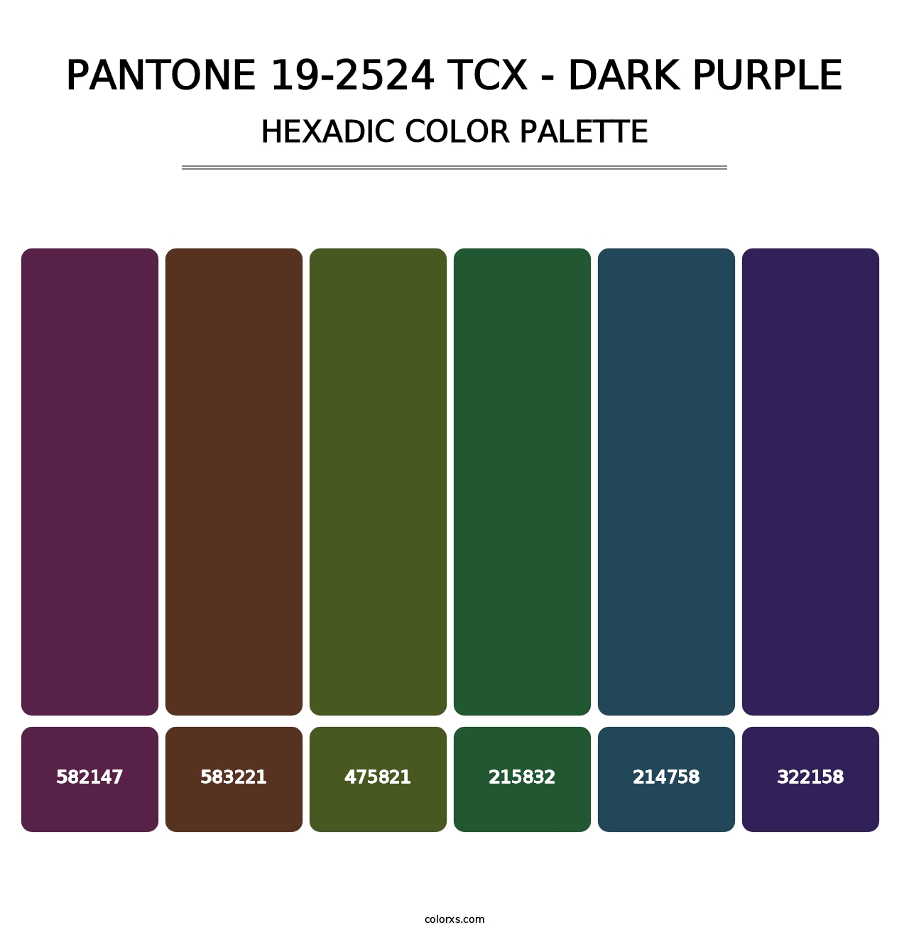 PANTONE 19-2524 TCX - Dark Purple - Hexadic Color Palette
