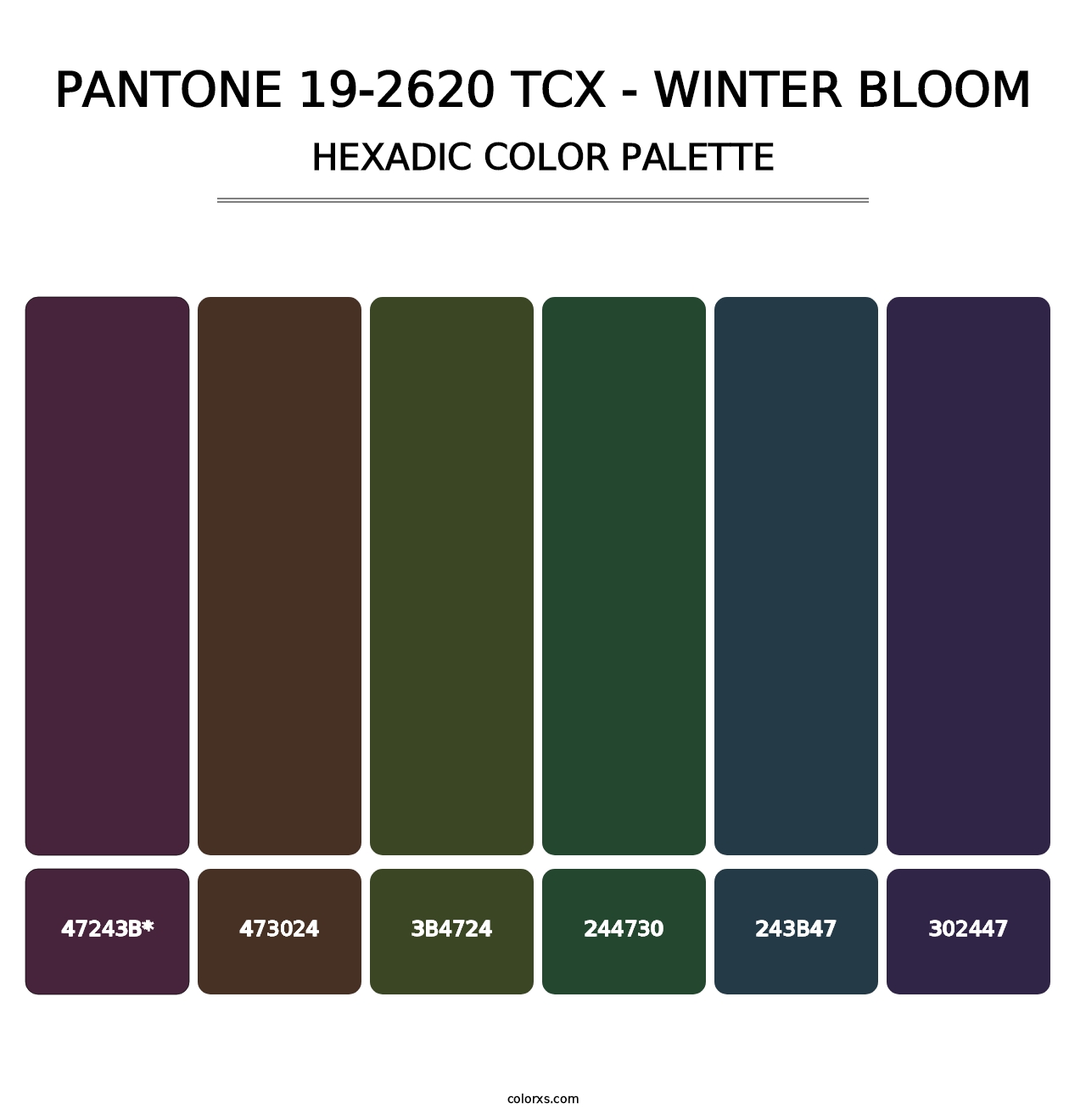 PANTONE 19-2620 TCX - Winter Bloom - Hexadic Color Palette
