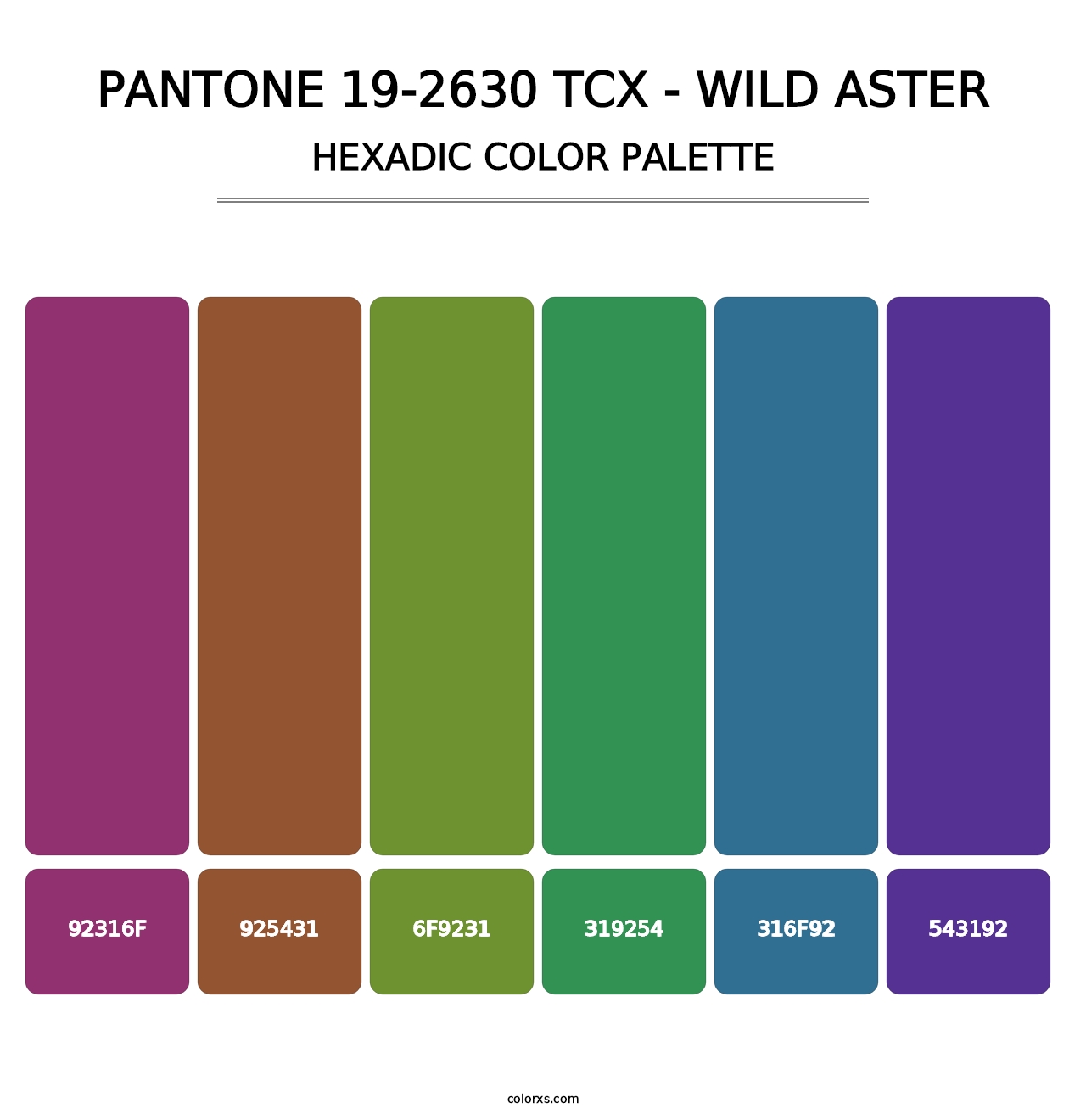 PANTONE 19-2630 TCX - Wild Aster - Hexadic Color Palette