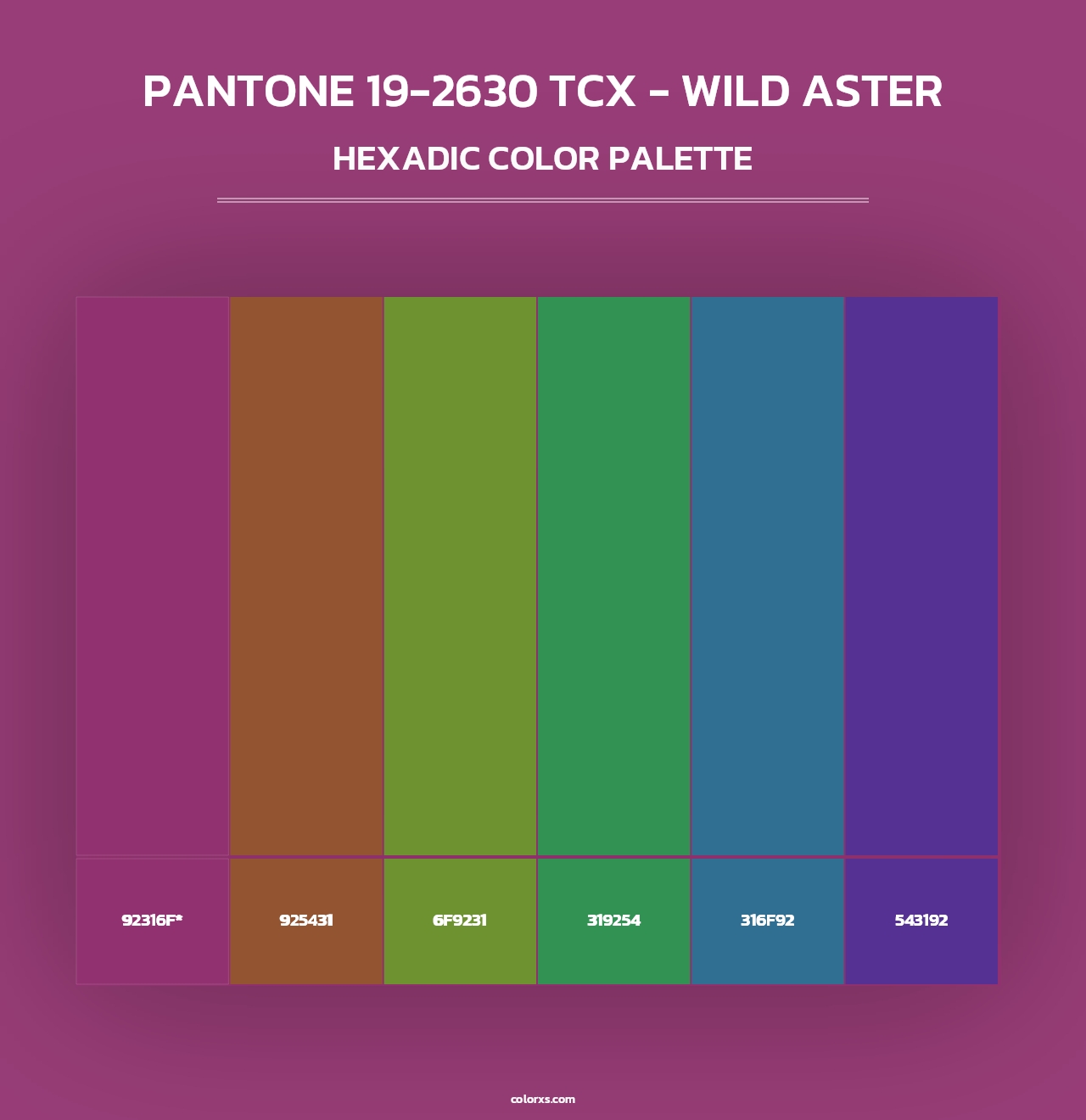 PANTONE 19-2630 TCX - Wild Aster - Hexadic Color Palette