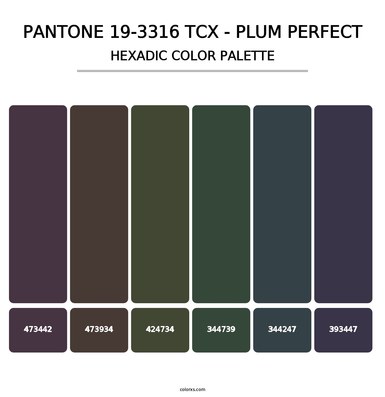 PANTONE 19-3316 TCX - Plum Perfect - Hexadic Color Palette