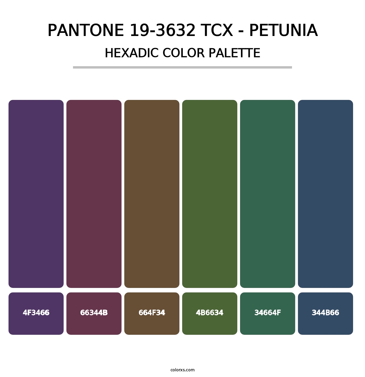 PANTONE 19-3632 TCX - Petunia - Hexadic Color Palette