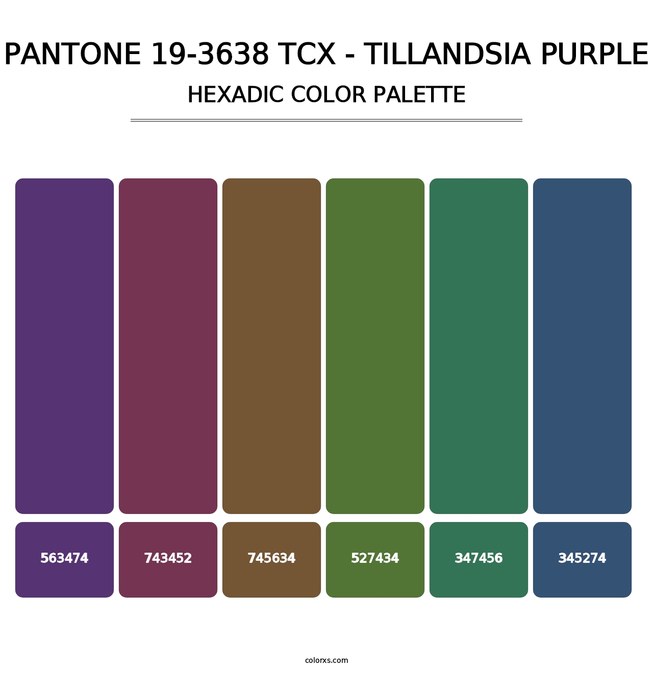 PANTONE 19-3638 TCX - Tillandsia Purple - Hexadic Color Palette