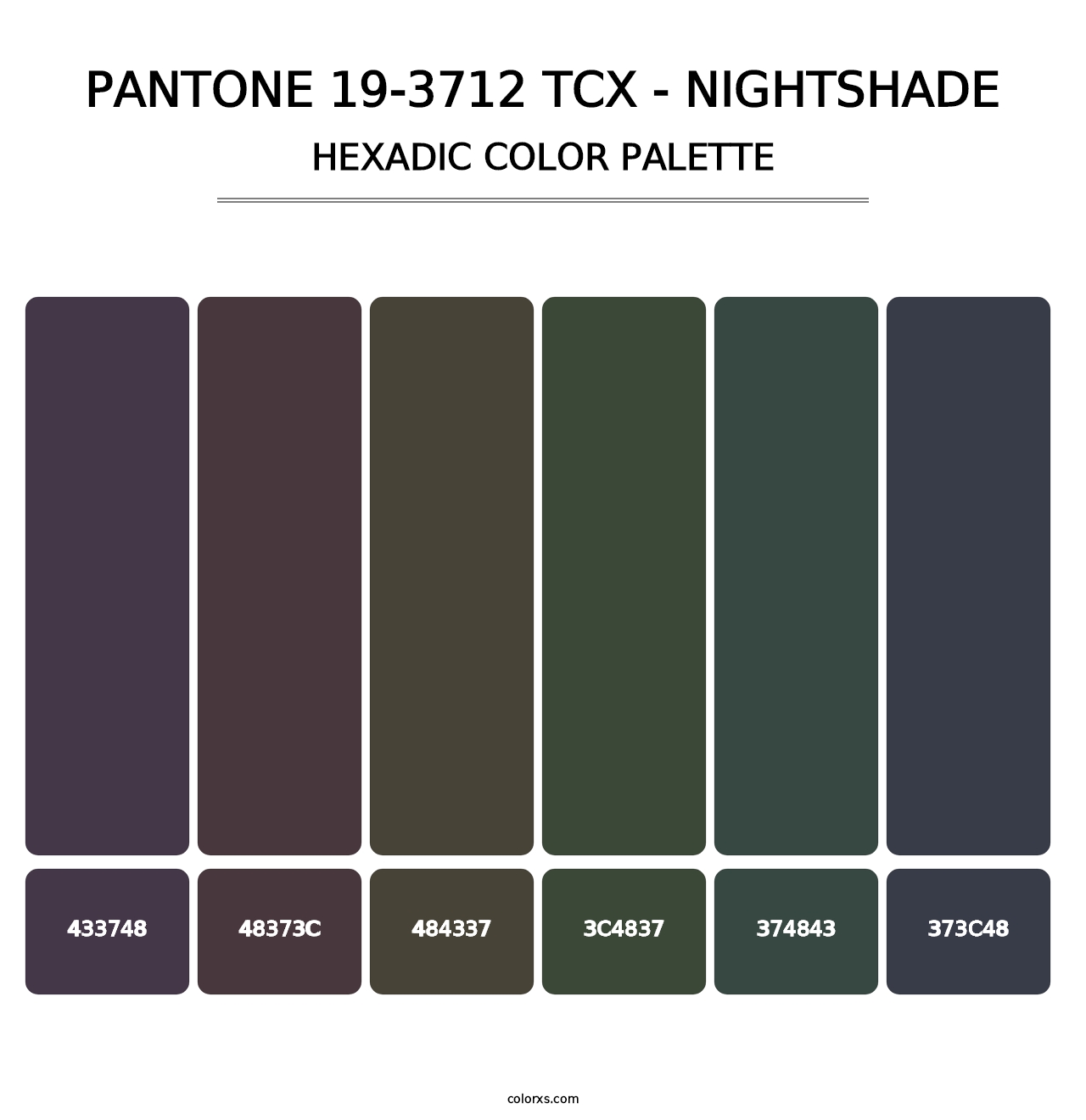 PANTONE 19-3712 TCX - Nightshade - Hexadic Color Palette