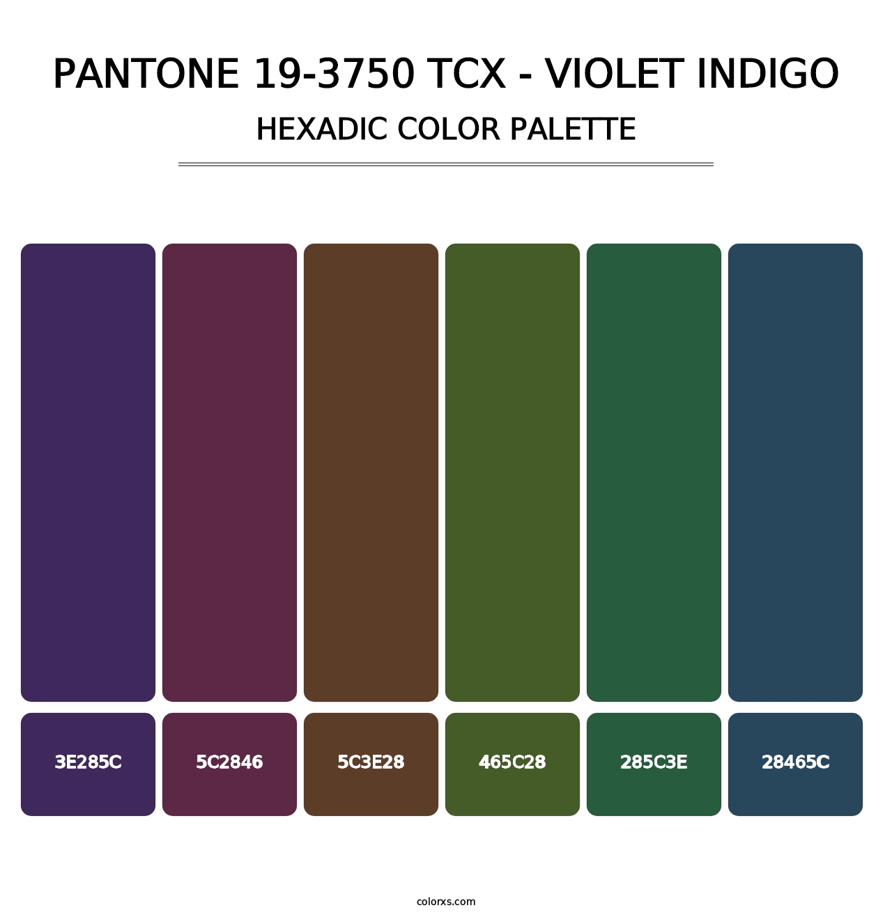 PANTONE 19-3750 TCX - Violet Indigo - Hexadic Color Palette