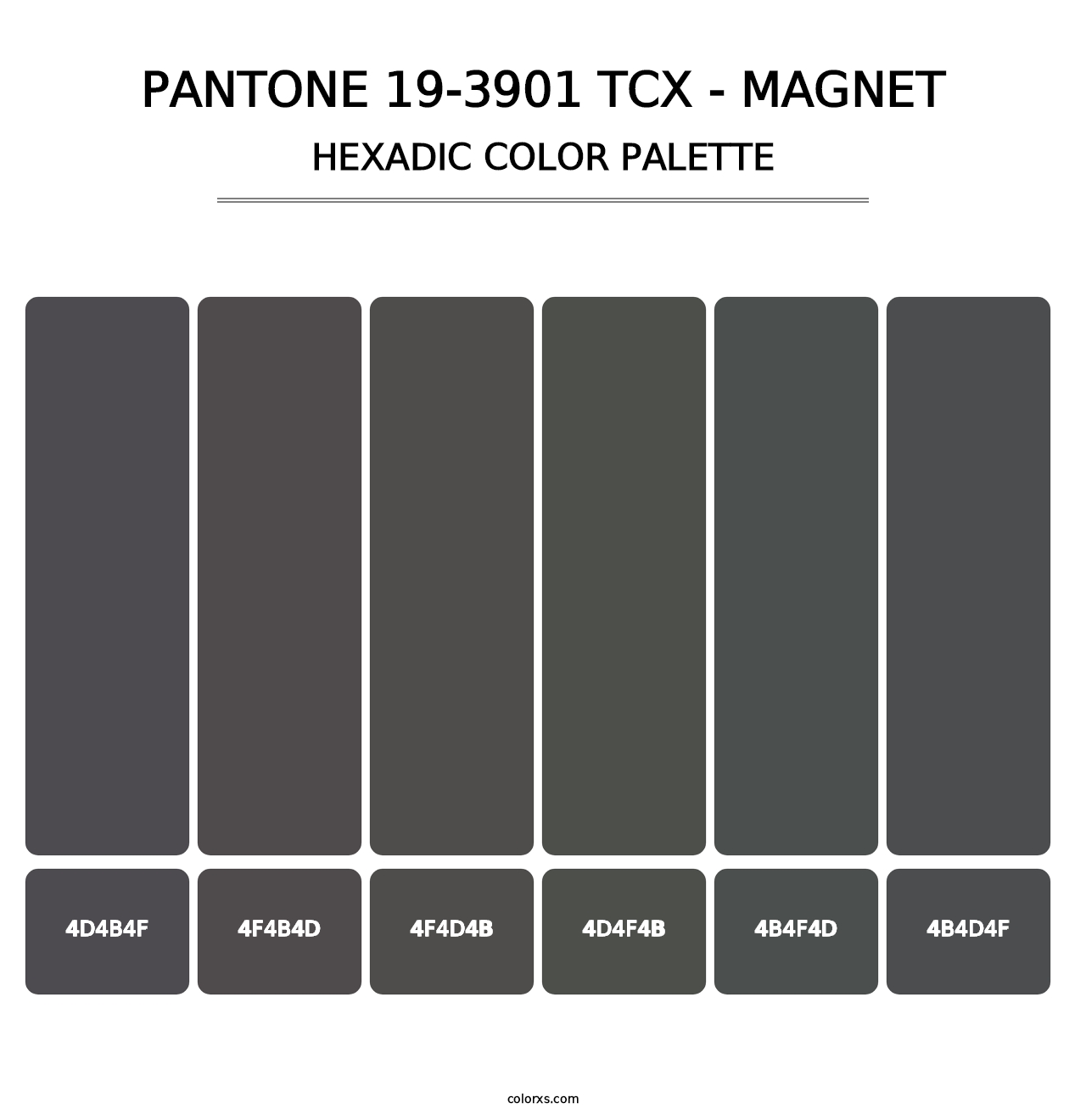 PANTONE 19-3901 TCX - Magnet - Hexadic Color Palette