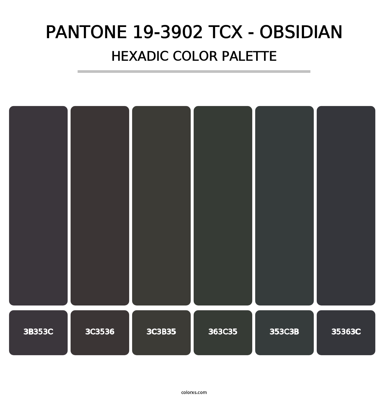 PANTONE 19-3902 TCX - Obsidian - Hexadic Color Palette