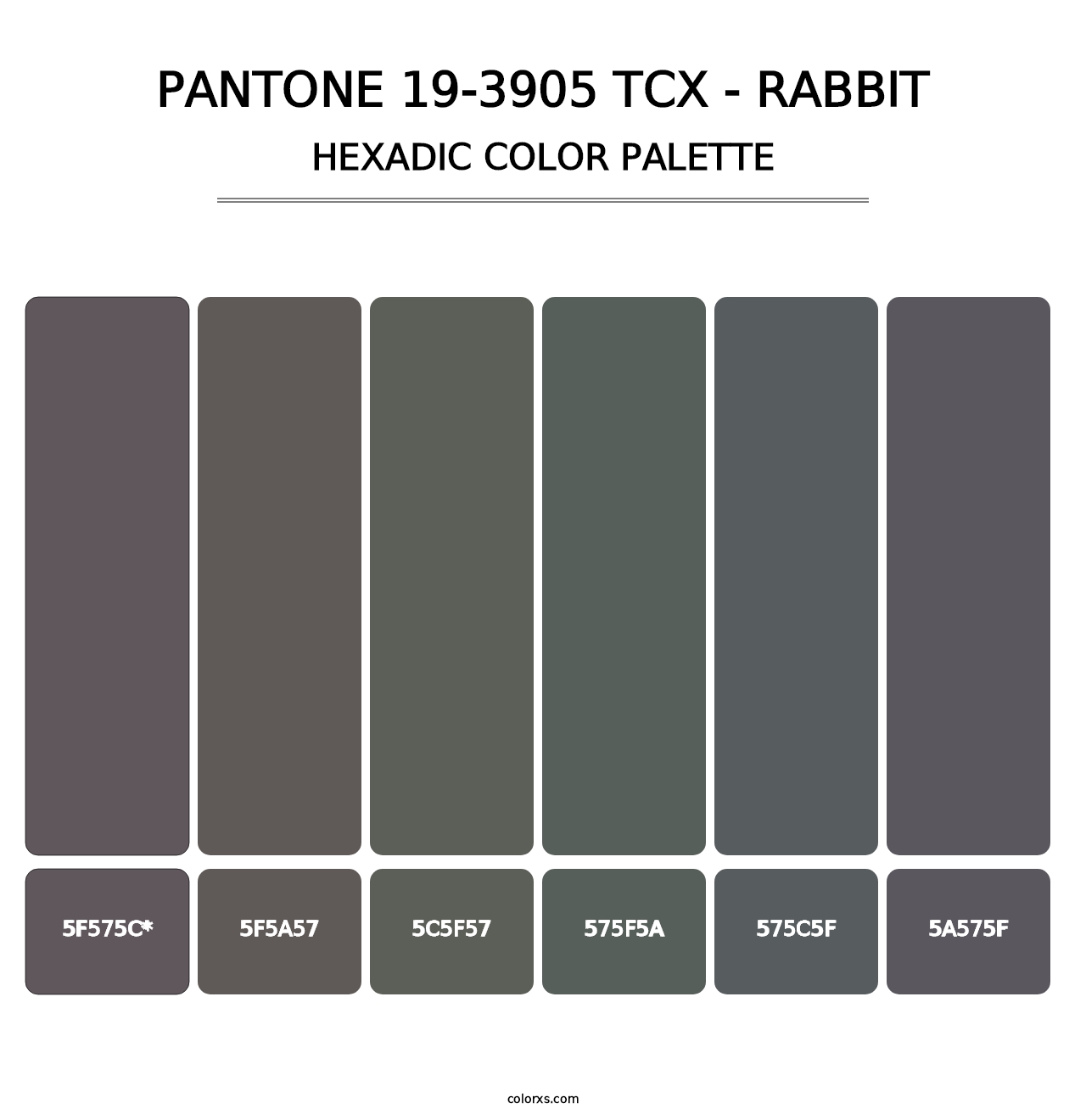 PANTONE 19-3905 TCX - Rabbit - Hexadic Color Palette