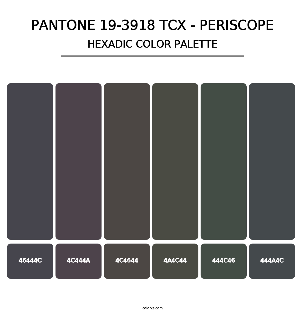 PANTONE 19-3918 TCX - Periscope - Hexadic Color Palette