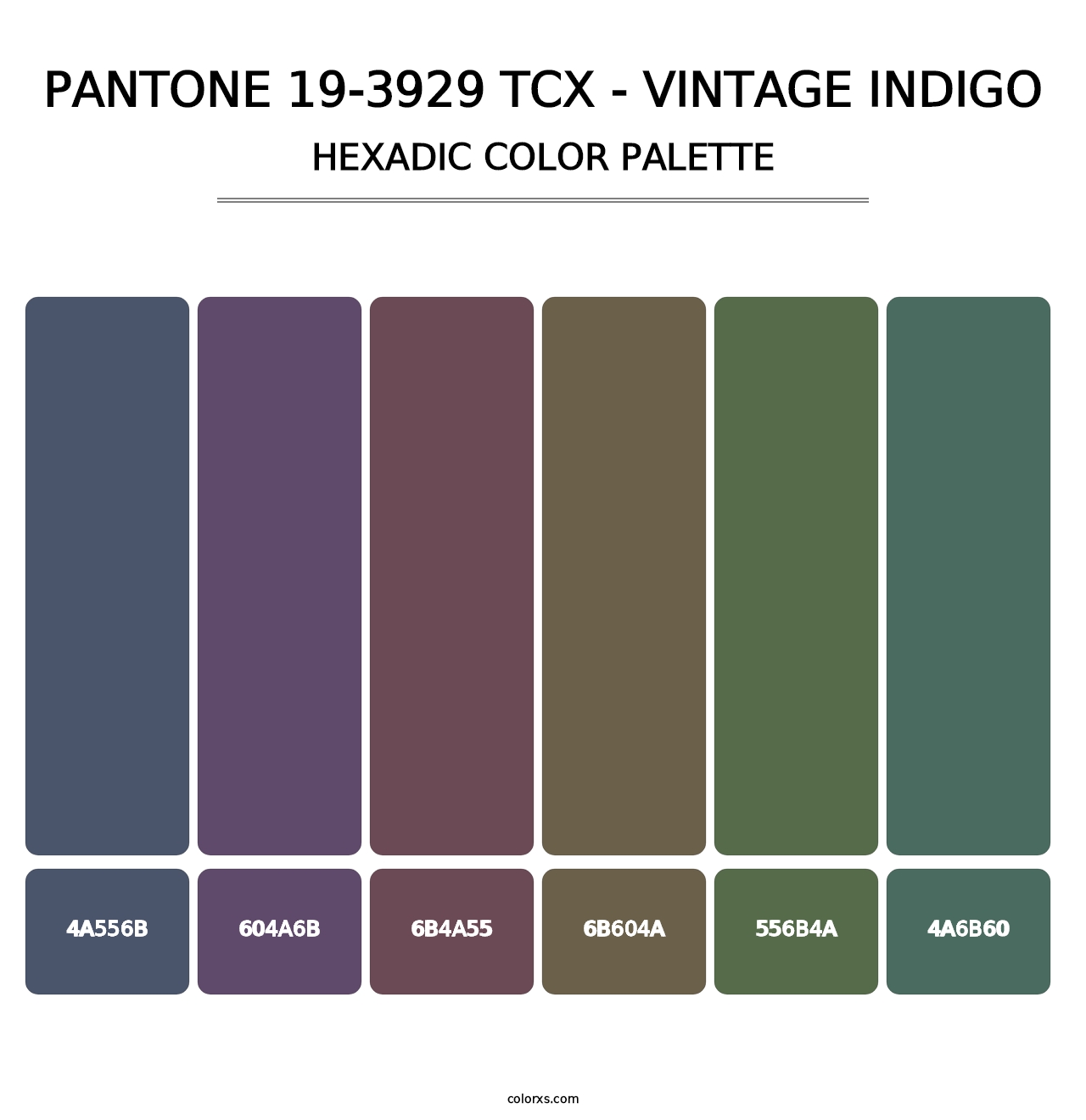 PANTONE 19-3929 TCX - Vintage Indigo - Hexadic Color Palette