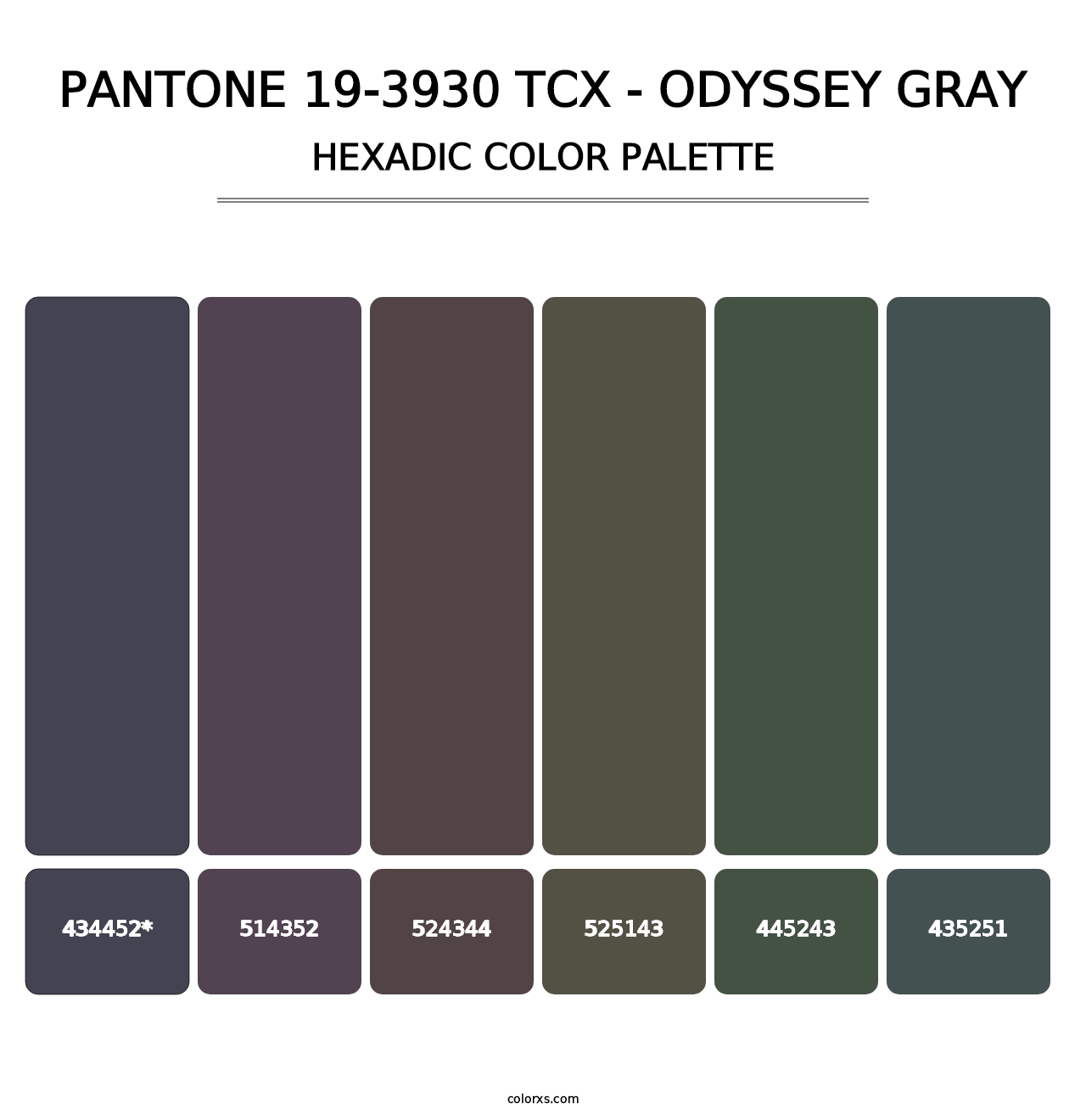 PANTONE 19-3930 TCX - Odyssey Gray - Hexadic Color Palette