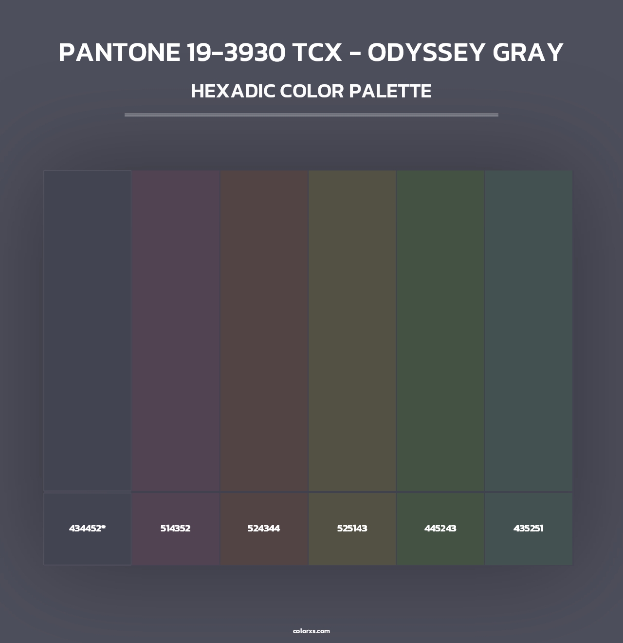 PANTONE 19-3930 TCX - Odyssey Gray - Hexadic Color Palette