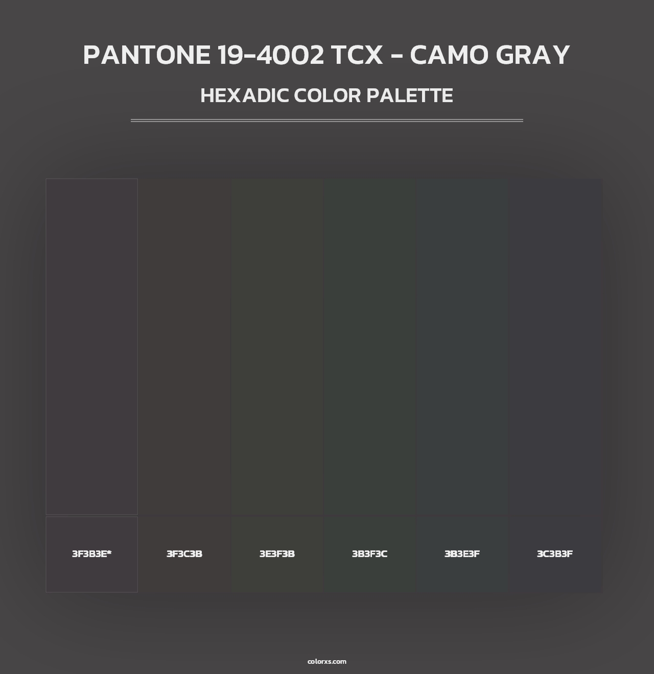 PANTONE 19-4002 TCX - Camo Gray - Hexadic Color Palette