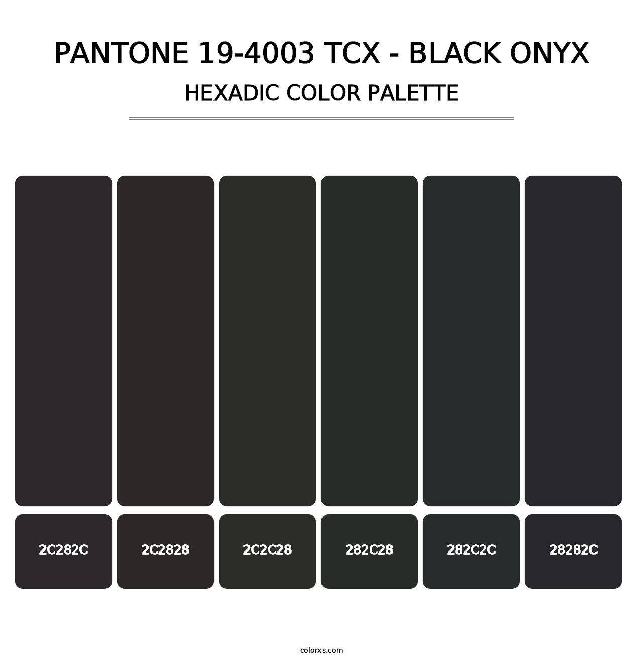PANTONE 19-4003 TCX - Black Onyx - Hexadic Color Palette