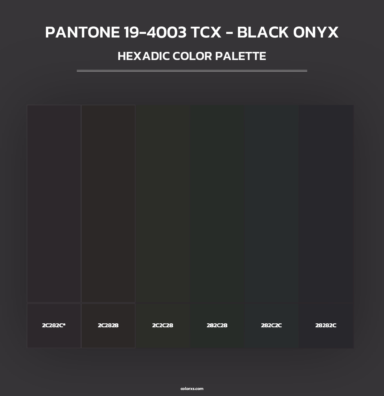 PANTONE 19-4003 TCX - Black Onyx - Hexadic Color Palette