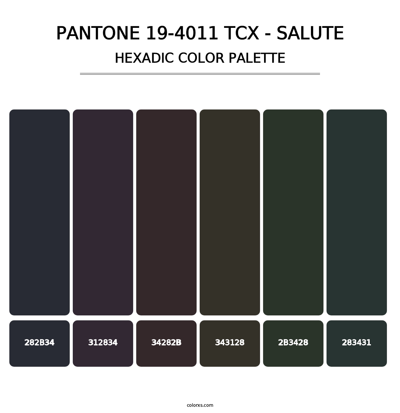 PANTONE 19-4011 TCX - Salute - Hexadic Color Palette