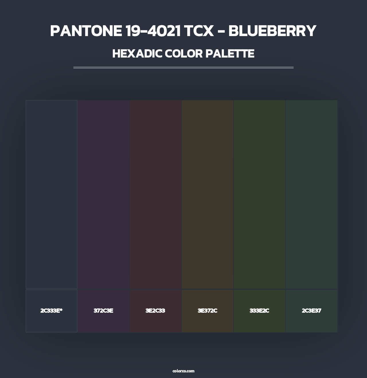 PANTONE 19-4021 TCX - Blueberry - Hexadic Color Palette