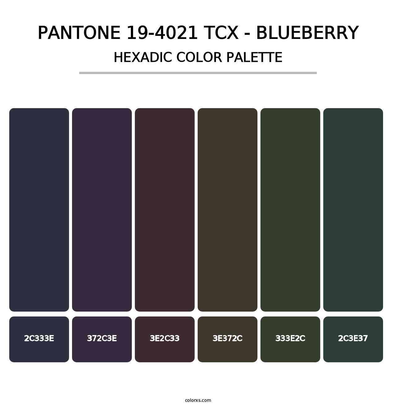 PANTONE 19-4021 TCX - Blueberry - Hexadic Color Palette